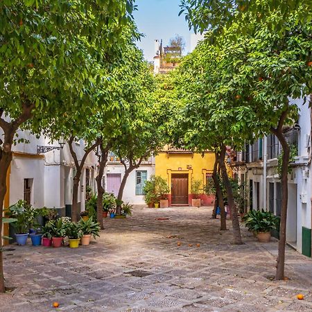 Encantador Apartamento A Un Paso De La Catedral Σεβίλλη Εξωτερικό φωτογραφία